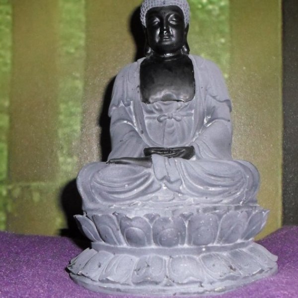 Reiki | Johan | Leeuwarden | reikipraktijk-kinyoubi.nl | Meditatie Boeddha op lotus | 